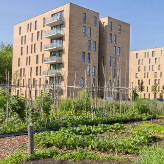 Social and Community Benefits and Limitations of Urban Agriculture